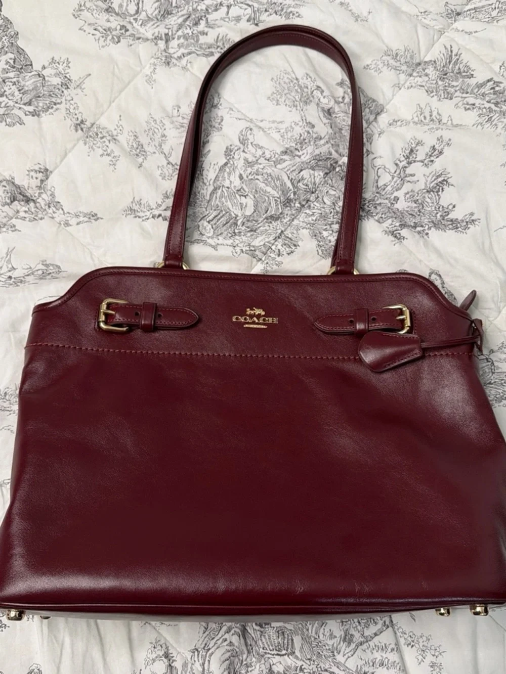 Coach Easton Wine Leather Tote with Gold Accents